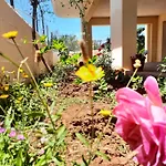 Amarildo Essence Hotel *