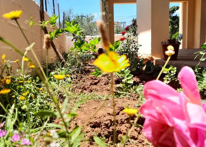 Amarildo Essence Hotel *