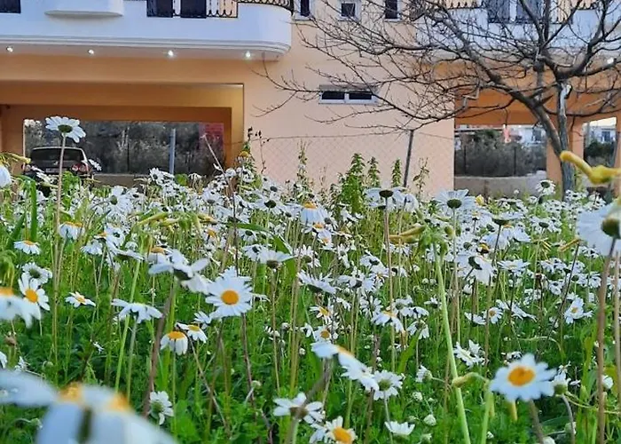 Appartement Amarildo Essence Hotel